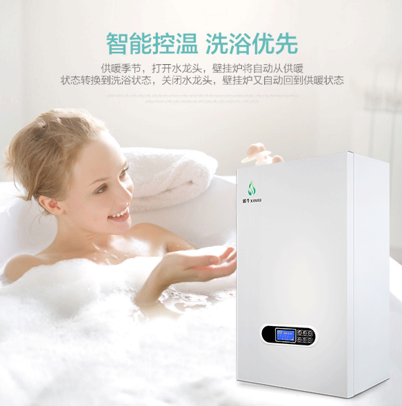 洗浴两用壁挂炉1.png